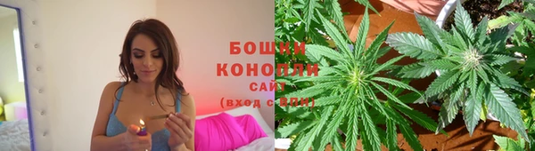 дмт Арсеньев