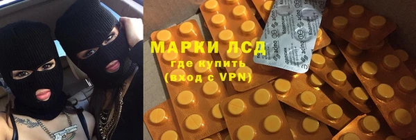 гидра Аркадак