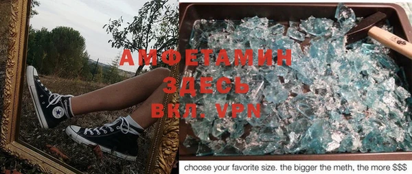 гидра Аркадак