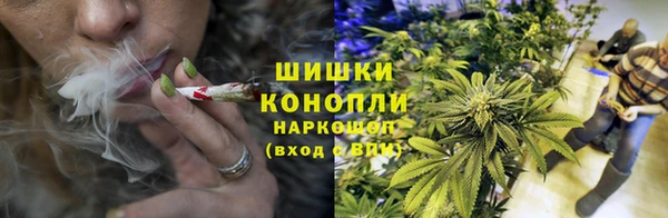 дмт Арсеньев