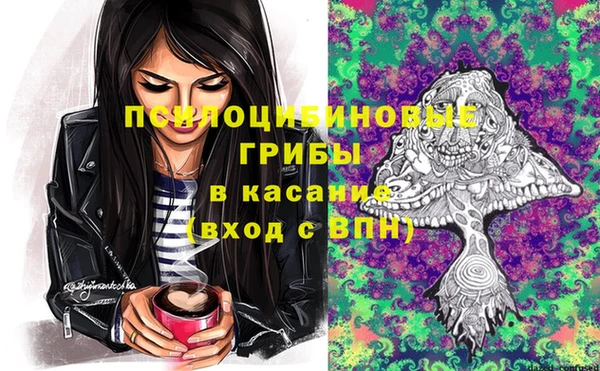 гидра Аркадак