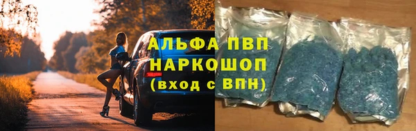 гидра Аркадак
