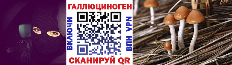 Псилоцибиновые грибы Psilocybe Порхов
